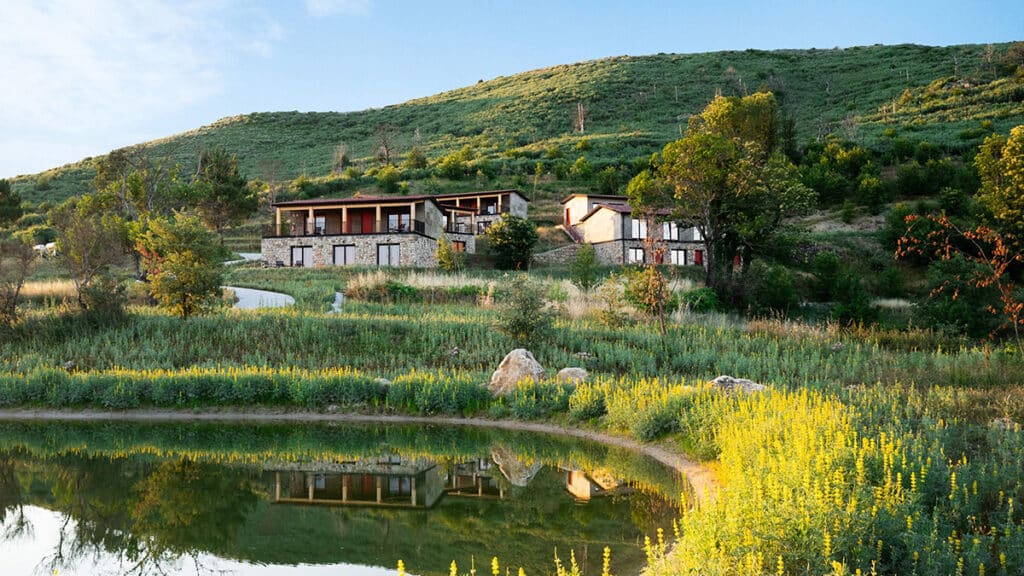 Your Guide to Health and Wellness Retreats